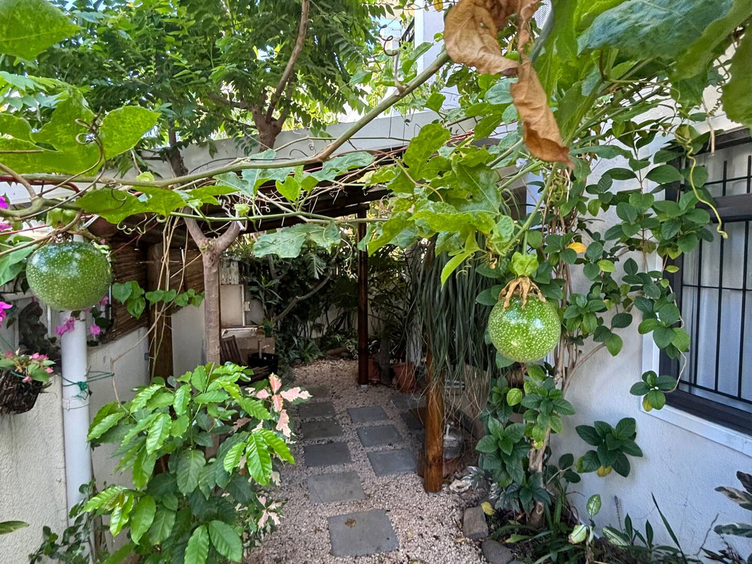 Jardin tropical luxuriant de la Villa Coco Zen avec de magnifiques plantes