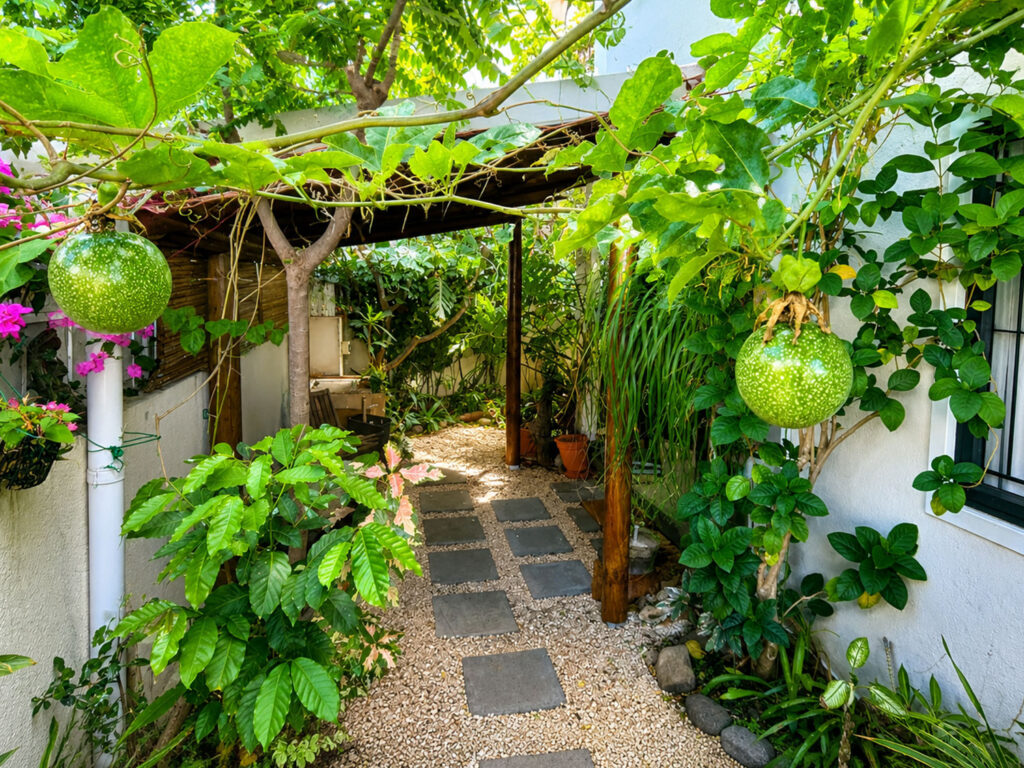 Jardin tropical avec plantes luxuriantes, pergola et chemin en pierre à Villa Zoli Baz, La Preneuse
